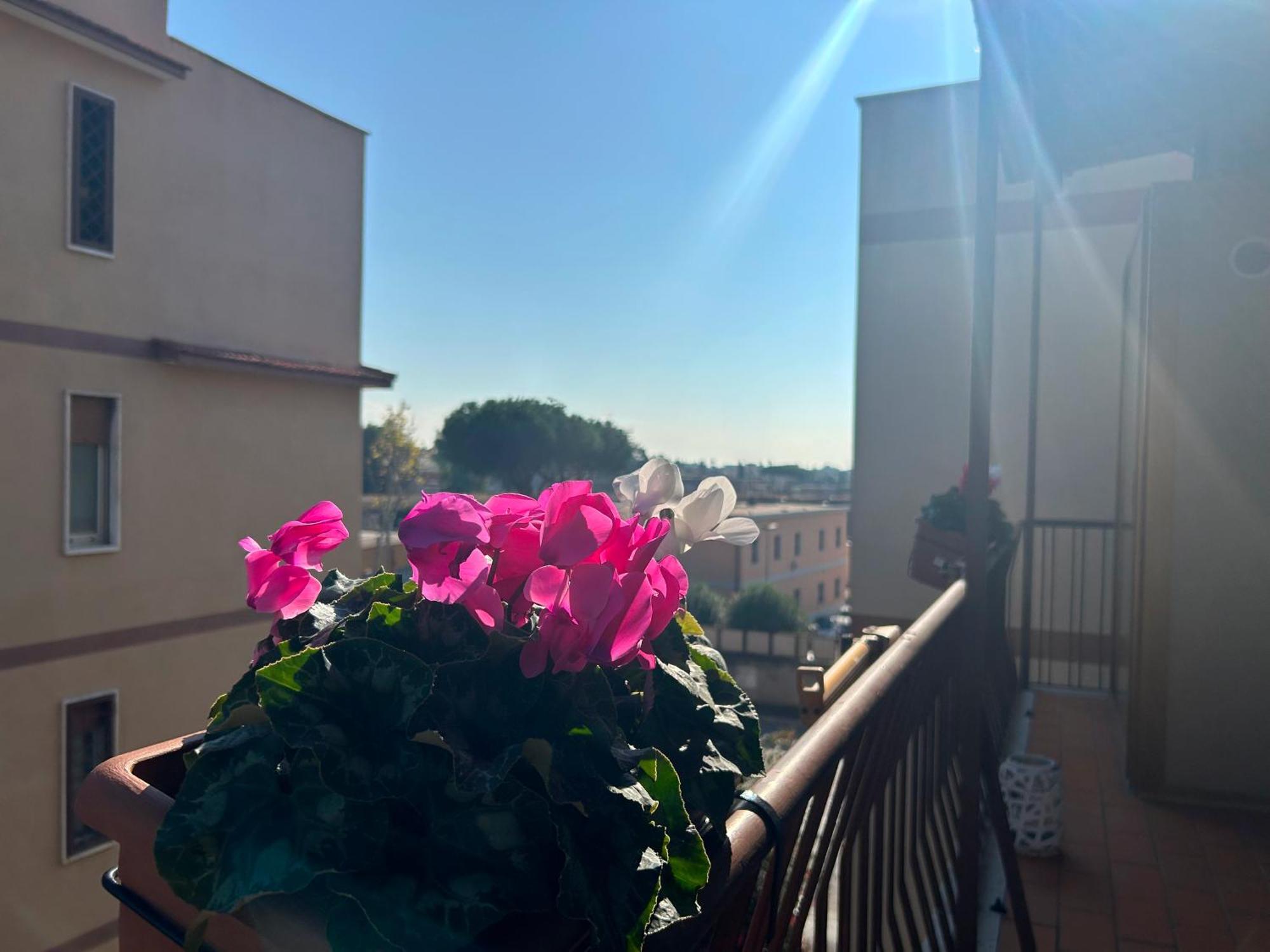 Apartment Crazi4rome - Near Metro Battistini